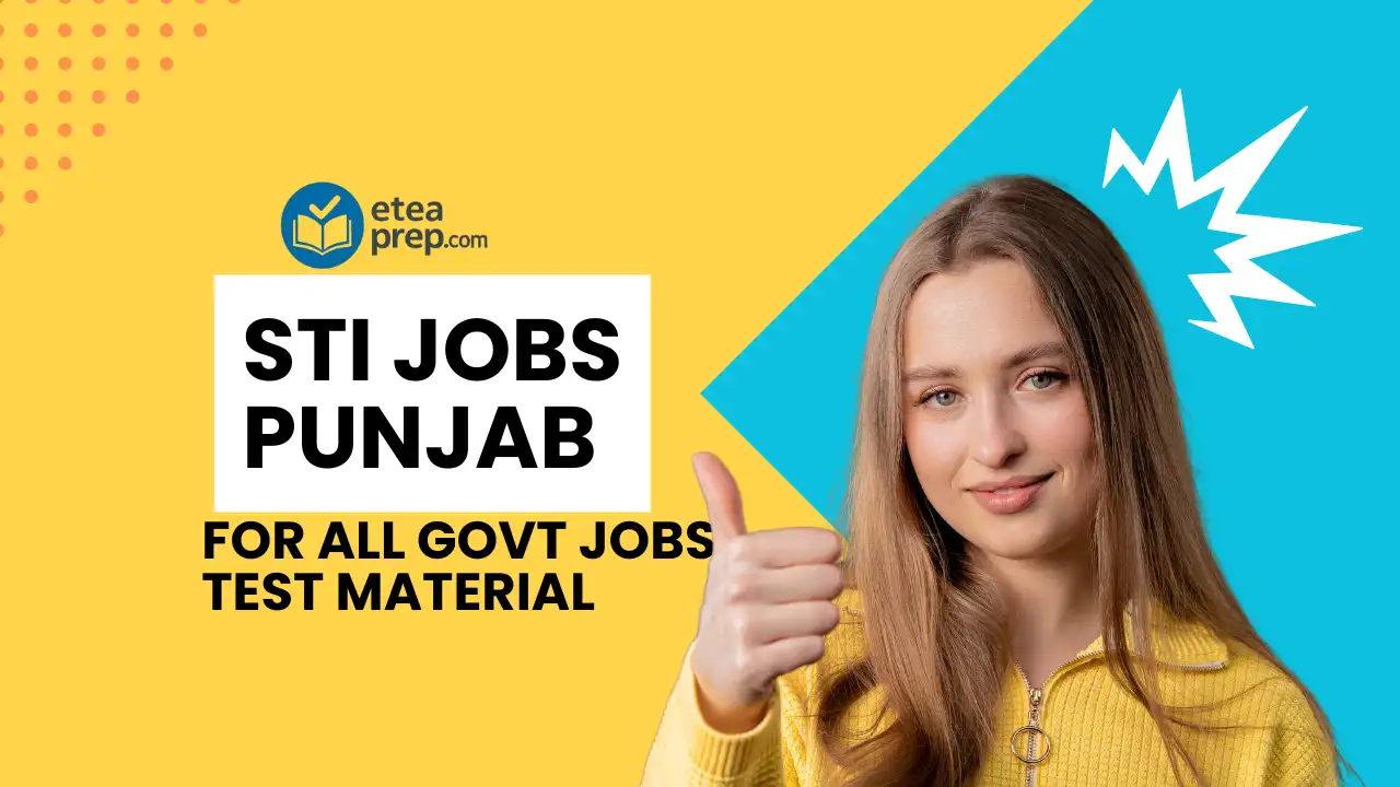 STI Jobs Punjab